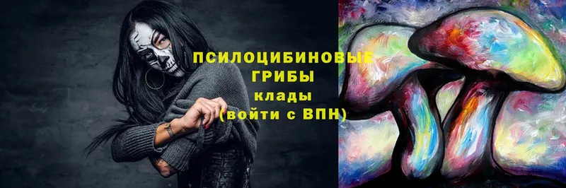 Псилоцибиновые грибы мицелий  Луга 